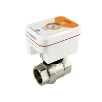 Intelligent Flow Control Valve