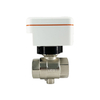 Intelligent Flow Control Valve