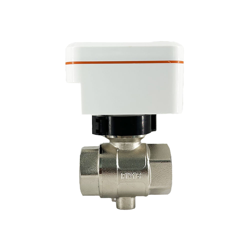 Intelligent Flow Control Valve
