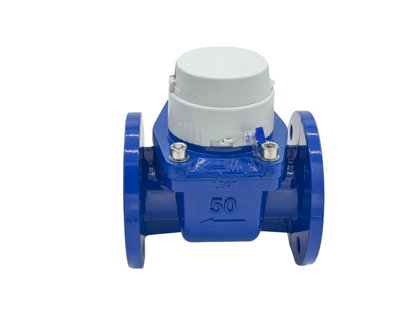 Horizontal Woltman Water Meter (DN40-DN500)