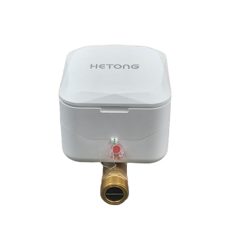 Ultrasonic Water Meter