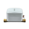 Ultrasonic Water Meter